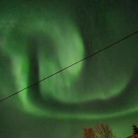 Lofoten Overnatting - بولستاد المظهر الخارجي الصورة